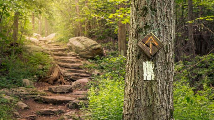Small portion of the Appalachian Trail with AT logo and white blaze on a nearby tree